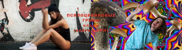 2c-b Осинники