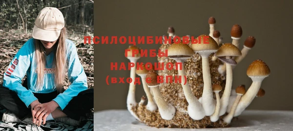 2c-b Осинники