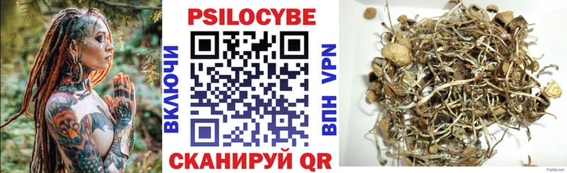 где купить наркотик  Покров  Галлюциногенные грибы Psilocybine cubensis 